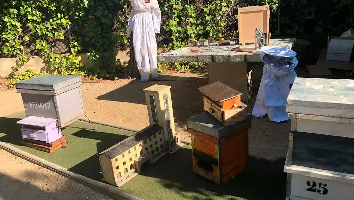 Taller sobre la miel y abejas